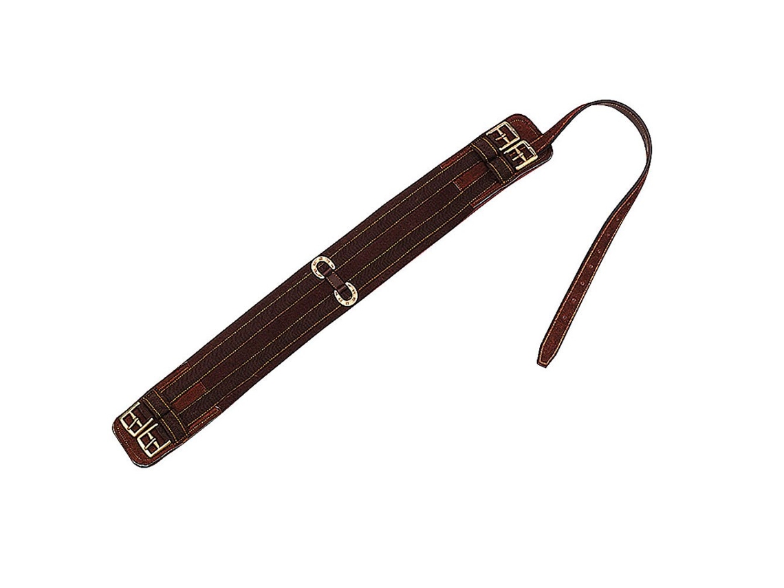 Menina Austalian Castanho 85 Cmnorton Equestrian