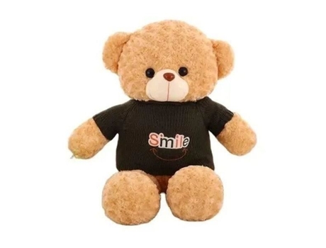 Câmera Espiã Hd 1080P Wifi Urso de Pelúcia com Som EUROWEB