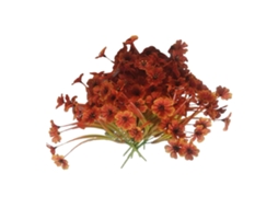 10pcs Flores Artificiais Outono S/MARCA