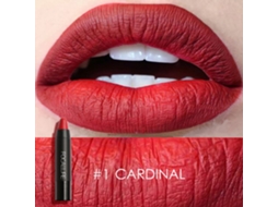 Lápiz Labial Matte Impermeable Focallure Largo Duración Hidratante Suave Brillo Sexy 1