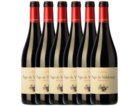 Vinho VALTUILLE Valtuille Pago De Valdoneje Mencía Bierzo Joven (0.75 L - 6 unidades)