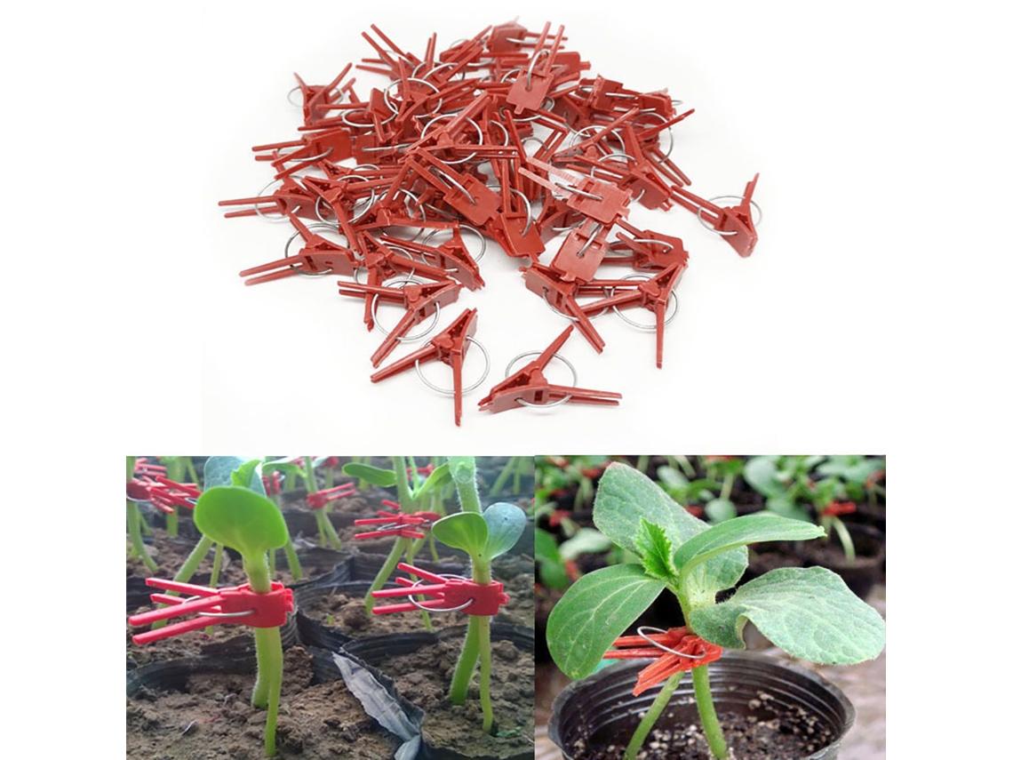 100pcs Grampos de Enxertia Plásticos Práticos para Plantas Jardim Ferramentas Seguras