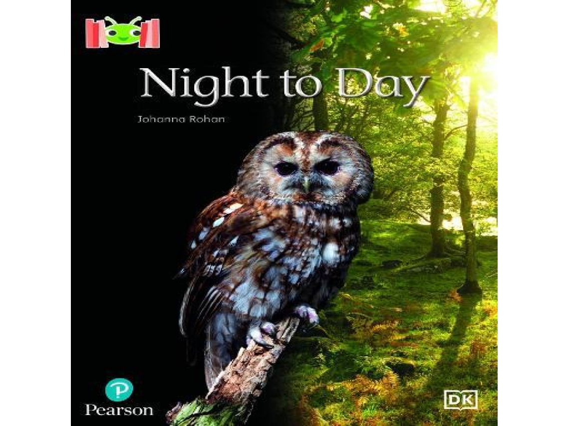 Livro Bug Club Reading Corner Age 4-5 Night to Day de Johanna Rohan (Inglês)