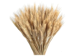 100 Espigas De Trigo Secas, Feixes Para Decorar Mesa De Casamento, Casa E Cozinha