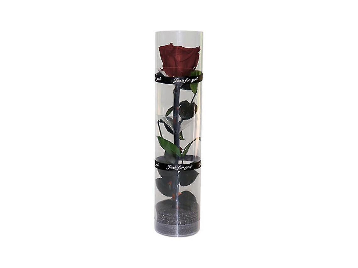 Omni rosa Preservada Real, Flor Eterna com Caule e Folhas Verdadeiras, Duradoura e Radiante Claret