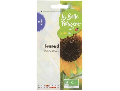 Girassol LA BELLE POTAGIRE 4,5 G