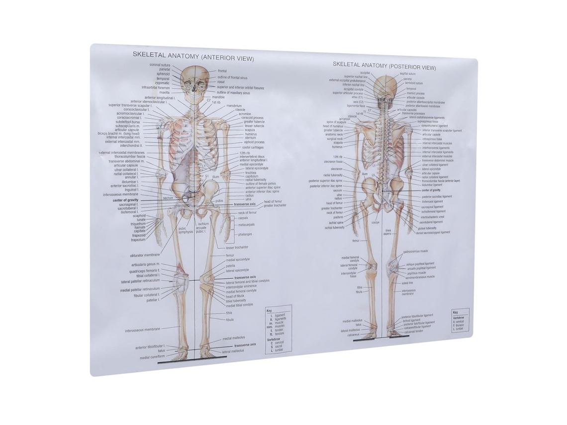 Caderno De Pelúcia Com Capa Dura E Zíper Para Meninas, Adorável Diário De Unicórnio Para Estudos E Quartos, Material De