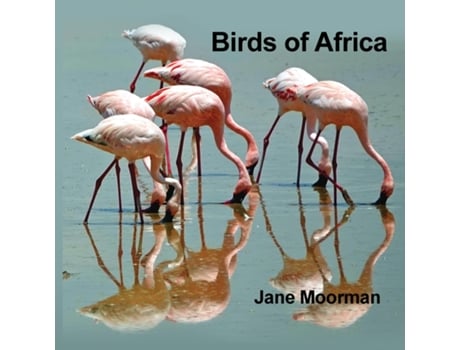 Livro Birds of Africa de Jane Moorman (Inglês)