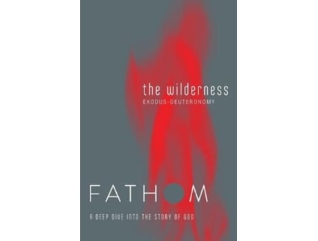 Livro fathom bible studies: the wilderness student journal de rose taylor (inglês)