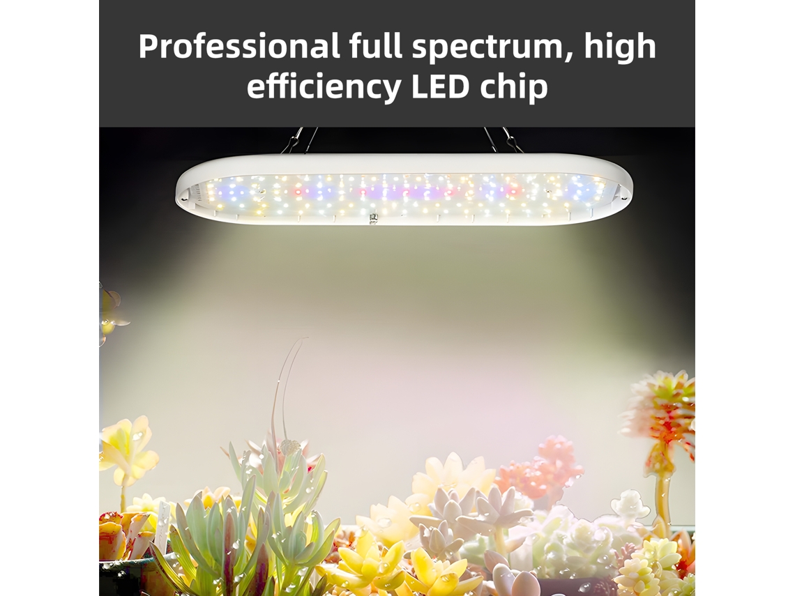 Luz Led Crescimento Espectro Completo 10w Com Timer