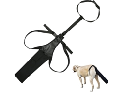 Protetor De Cauda Cachorro, Bolsa Ponta Da Cauda, Proteção E