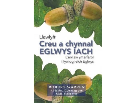 Livro creu a chynnal eglwys iach de robert warren (galês)