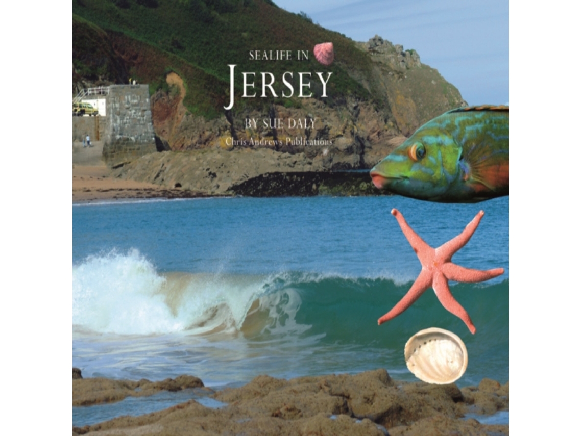 Livro Sealife in Jersey de Sue Daly (Inglês)