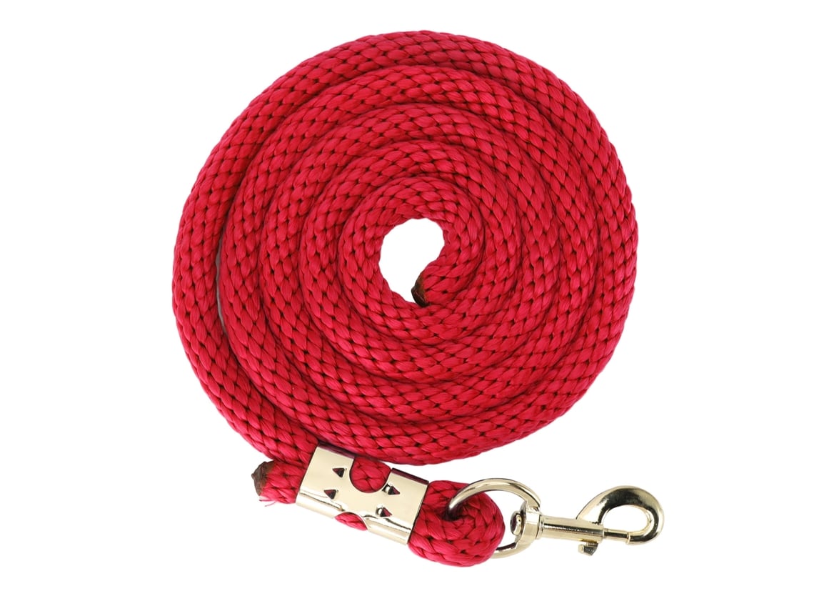 Cuerda de Entrenamiento para Cavalos Lunge Line 2m | S/MARCA