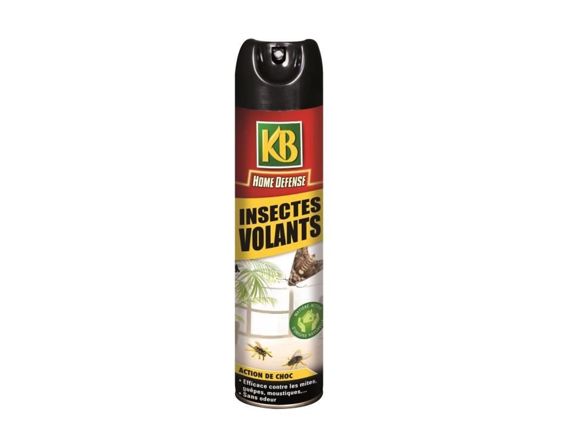 Aerossol Inseto Voador Kb 400 Ml