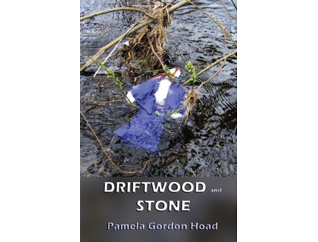 Livro Driftwood And Stone De Pamela Gordon Hoad (inglês)