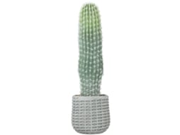 Cacto Artificial 66cm Com Vaso Decorativo Interior Verde