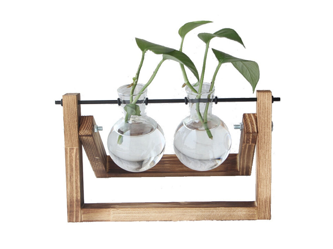 Vaso De Cultura Hidropónica Com Base De Madeira Laxiscreed Para Estúdio E Escritório