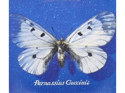 Vinil Francesco Guccini - Parnàs (1CDs)