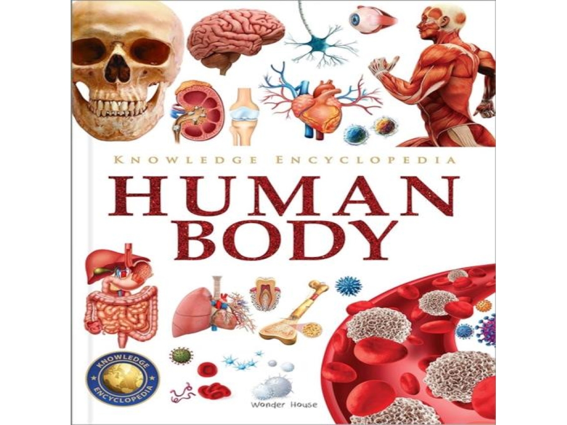 Livro Knowledge Encyclopedia Human Body de Prakash Books (Inglês)