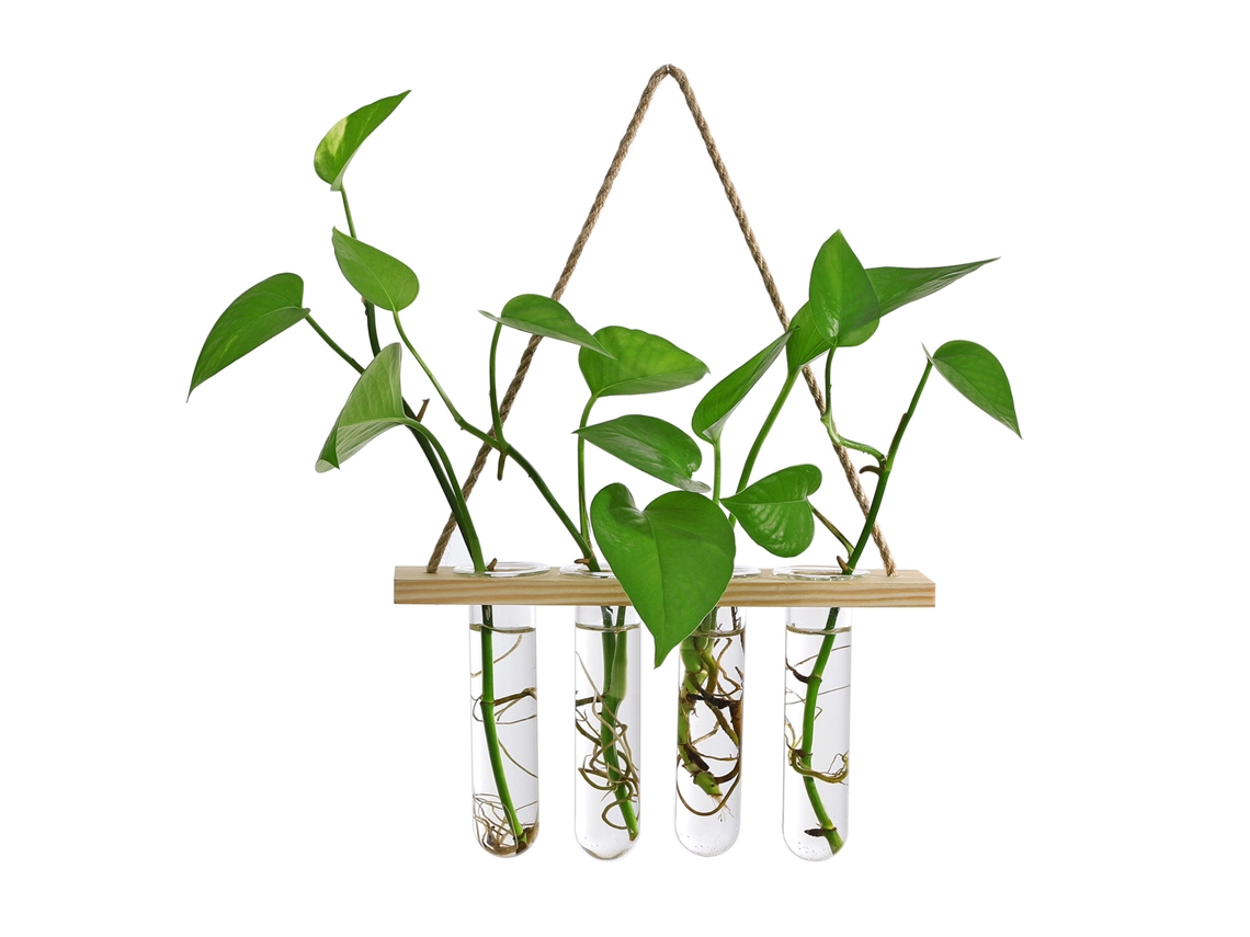Vaso De Vidro Em Tubo De Teste Para Plantas Hidropônicas Com Apoio De Madeira Sólida Para Parede