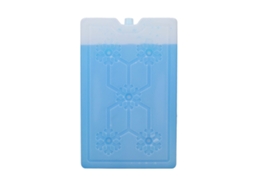 Caixa Congeladora Portátil Outdoor 1000ml