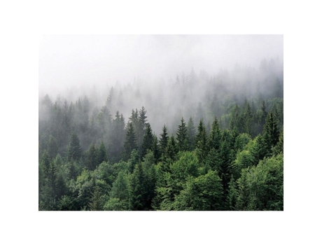 Papel De Parede Não Tecido Floresta De Ag Art