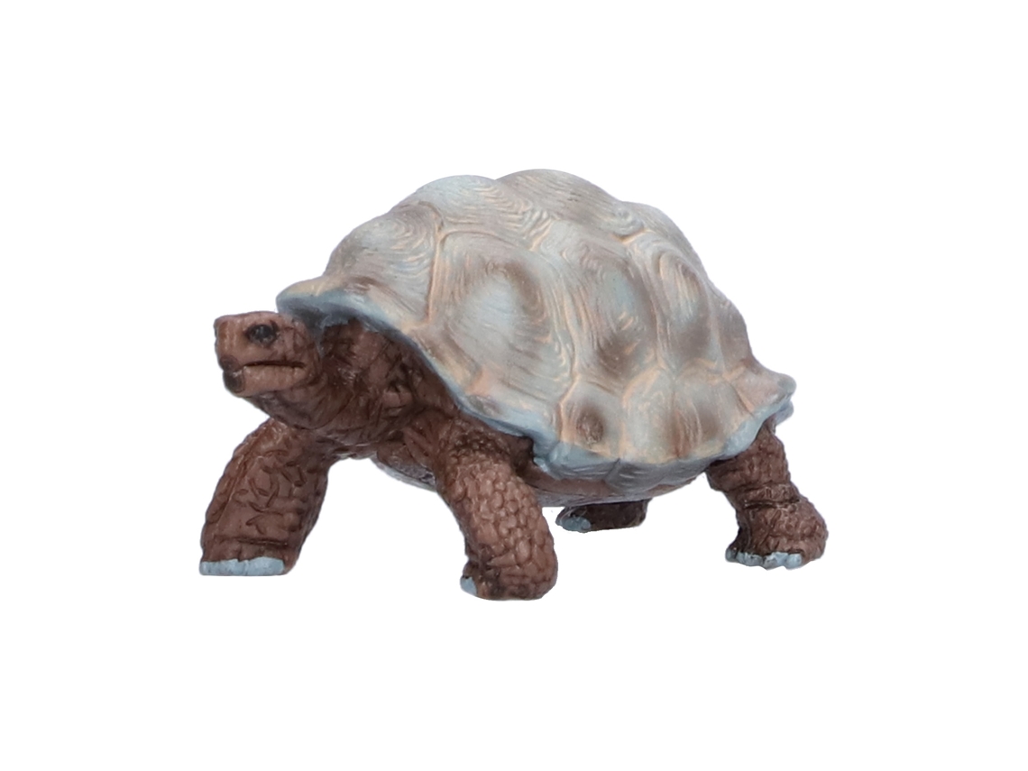 Figuras De Tartarugas E Modelos De Tartarugas Animais Selvagens Brinquedos Educativos Para Crianças E Bebês