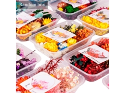 Kit de Flores Secas Diy Misturadas LAXISCREED para Decoração Artesanal