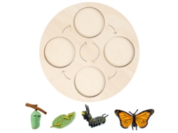 Ats kit Ciclo de Vida de Insetos com Bandeja de Madeira Ferramentas Didáticas para Crianças Projeto Escolar Educatsivo
