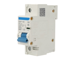 Interruptor de Circuito Aire 230v Dz47 125 1p 80a Miniatura de Corriente