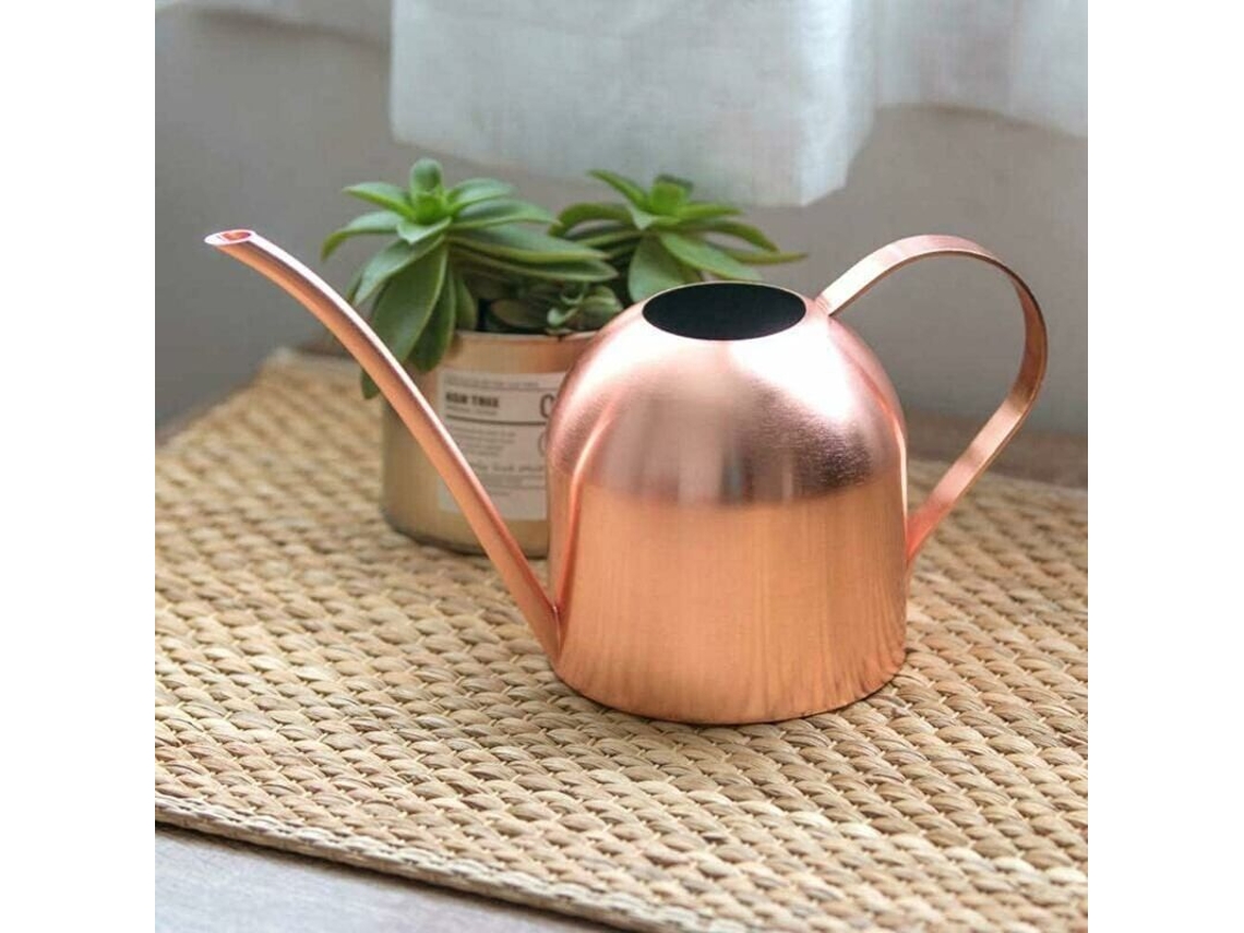 Regador, Em Aço Inoxidável, Bico Longo, Para Plantas, Flores, Bonsai E Vasos Em Áreas Interiores Ou Exteriores