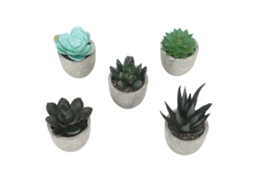 5 Peças De Plantas Suculentas Artificiais Em Vasos Mini