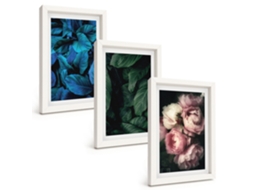 Composição De Quadros Folhas, Flores, Várias Cores Espelharte (3 Peças 20x30 Cm)