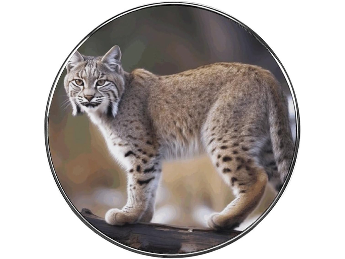 Ímã De Geladeira Fofo E Colorido Lince Selvagem, Ímãs De Liga Metálica Para Quadro Branco, Armário, Cozinha, Escritório