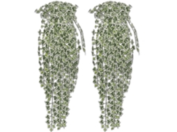 Conjunto 2 Trepadeiras Hera Artificiais Variegadas 90 Cm