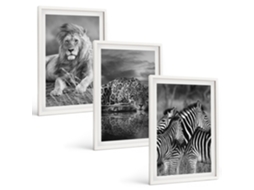 Conjunto De Pinturas Animais Selvagens, Savana Moldura Branca Fotos Para O Escritório Espelharte (3 Piezas De 40x60 Cm)