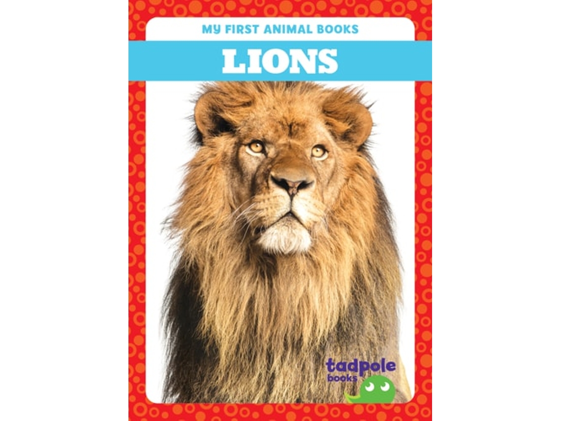 Livro Lions de Natalie Deniston (Inglês - Capa Dura)