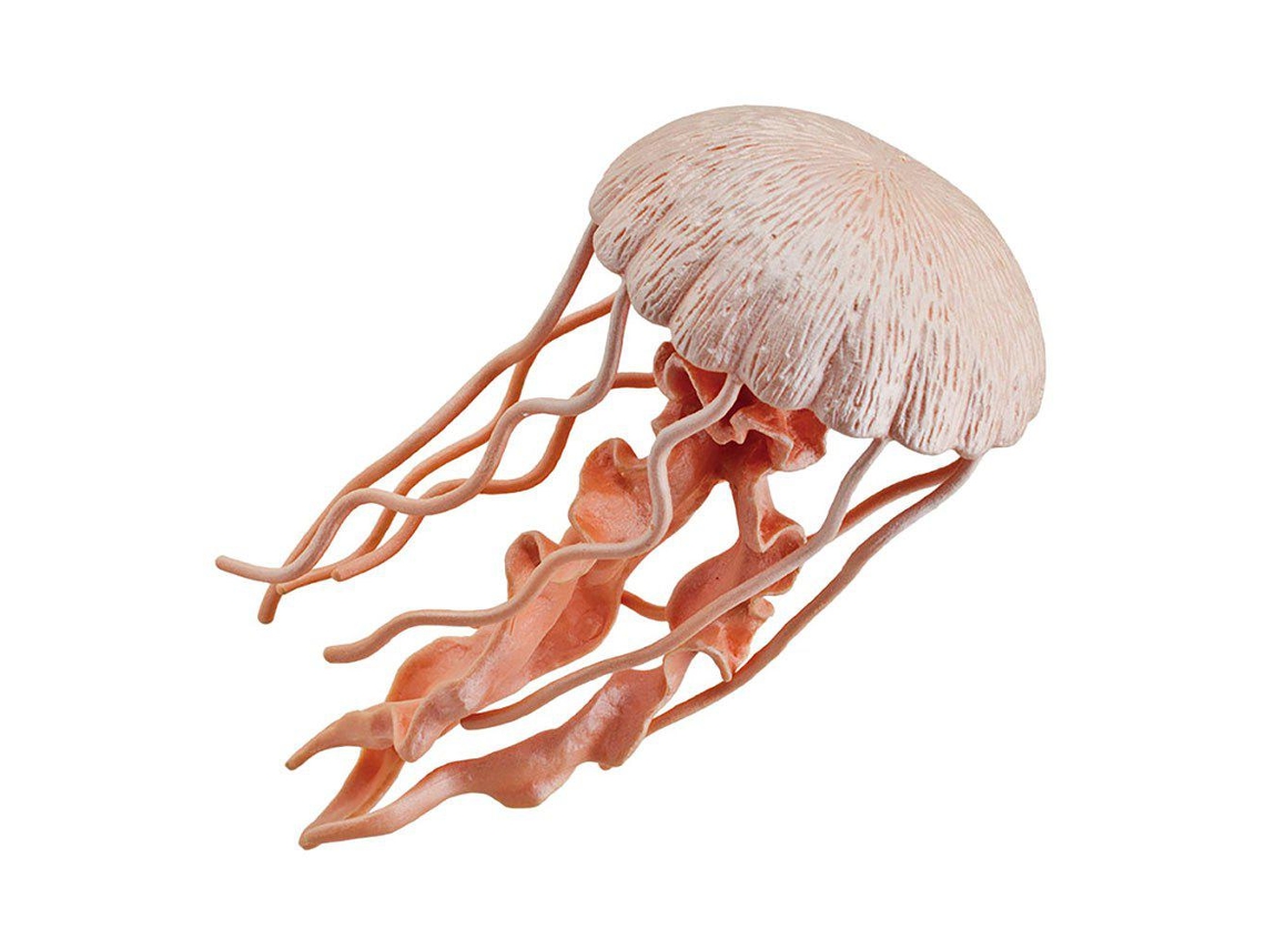 SAFARI Jellyfish Sea Life