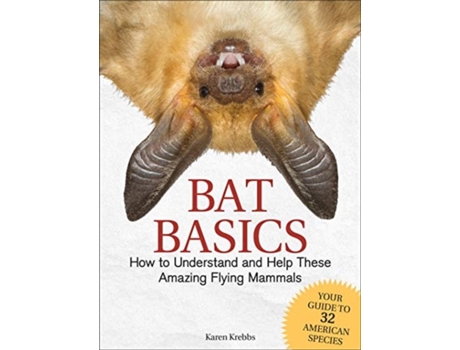 Livro bat basics de karen krebbs (inglês)