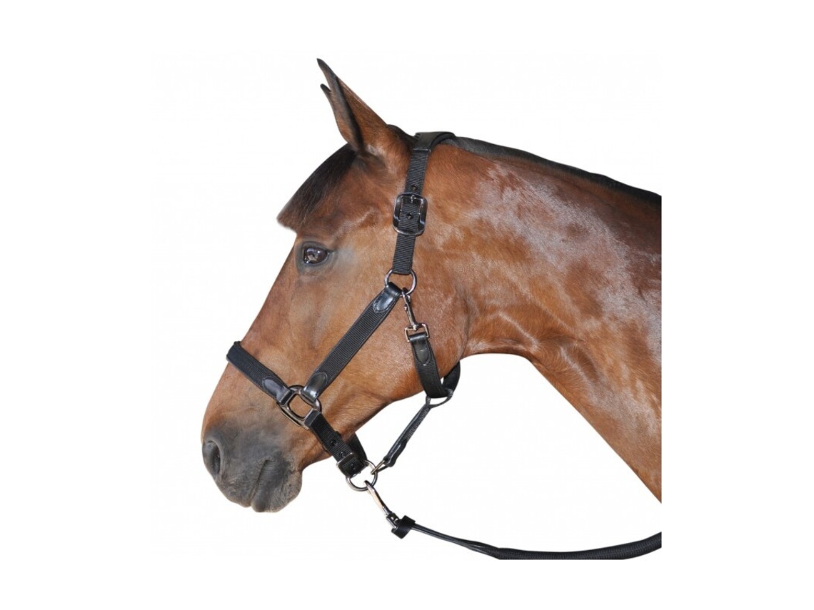 Cabresto de cavalo nylon/couro Flags&Cup