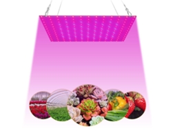 Peça 81leds 169 Leds Led Grow Light Para Ambientes Internos Espectro Completo Slowmoose