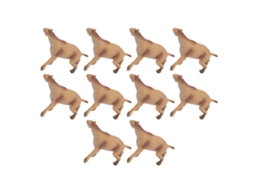 Primerox 10pcs Modelo de Animal Moropus Mini Figuras Educativas Pré históricas Brinquedos Pvc para Crianças