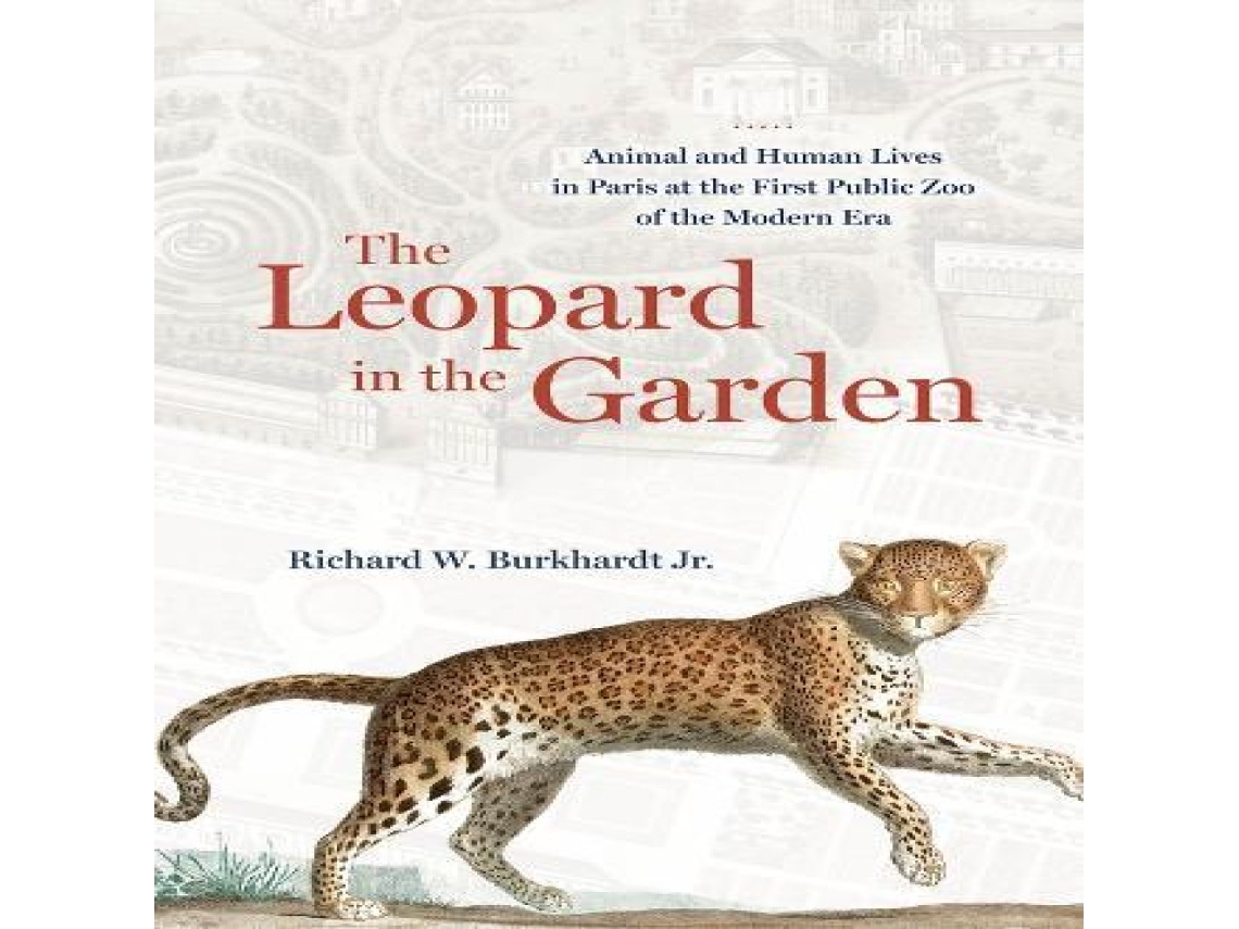Livro Leopard in the Garden de Burkhardt, Richard W et al. (Inglês)