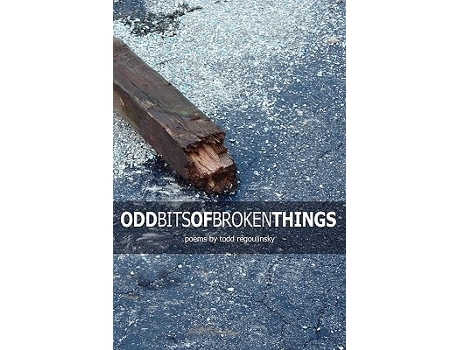Livro Odd Bits Of Broken Things de Todd Regoulinsky (Inglês)