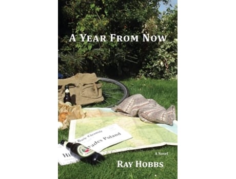 Livro A Year From Now De Ray Hobbs (inglês)