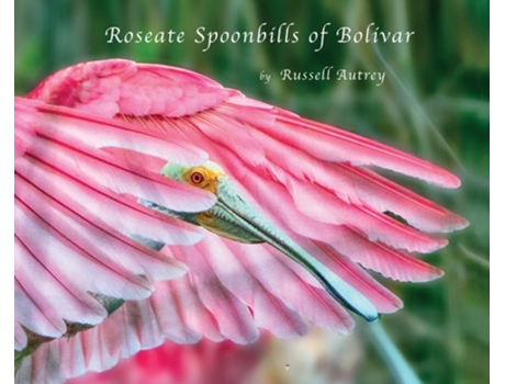 Livro Roseate Spoonbills of Bolivar de Russell D Autrey (Inglês - Capa Dura)