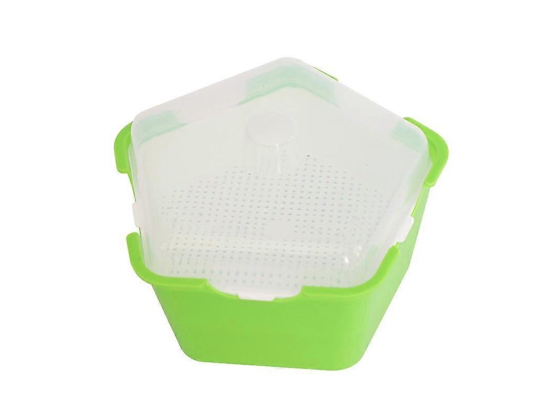 Bandeja de Germinación para Semillas, Caja de Crecimiento con Tapa, Ideal para Hortalizas y Frutas en Invernadero y Jardín