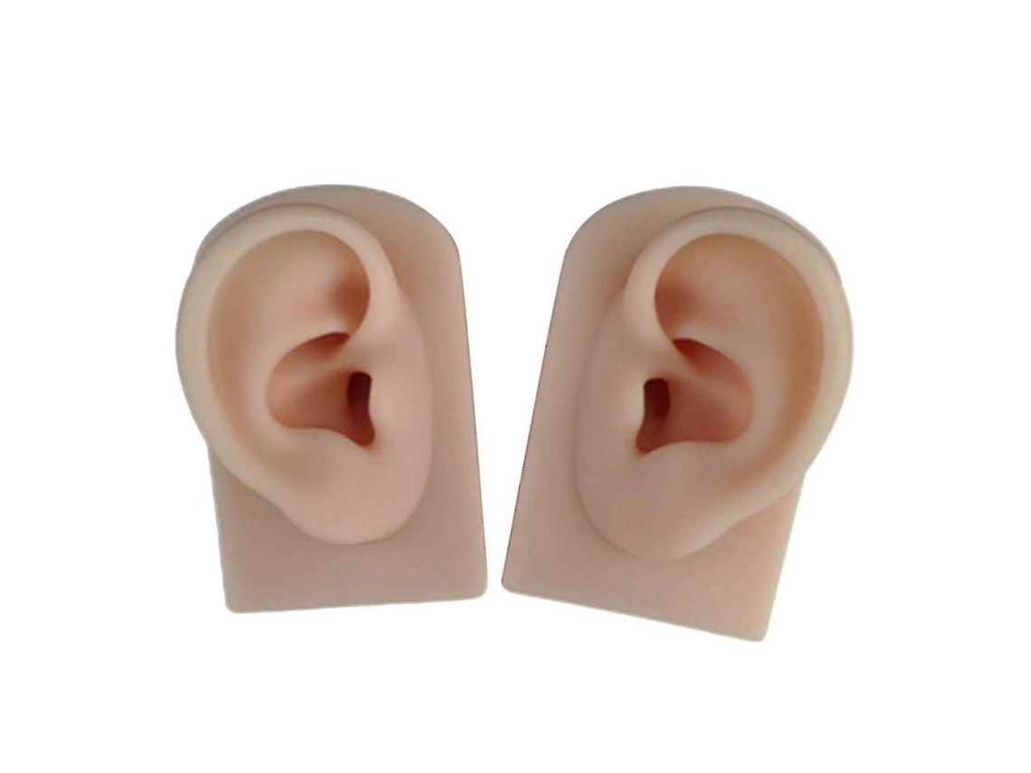 2 Peças de Modelos de Orelha em Silicone Macio para Simulação de Orelha Humana em Escala 1 AQUAFORGE