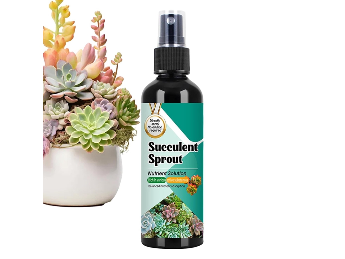 Fertilizante Líquido para Cactos Fertilizante para Cactos em Ambientes Externos Spray de 100ml com Efeito CHABERLU